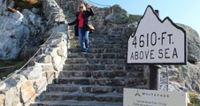 Enlarge photo 47