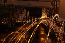 Enlarge photo 110