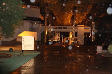 Enlarge photo 111
