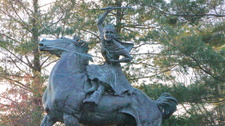 Enlarge photo 20
