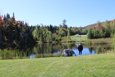 Enlarge photo 78