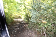 Enlarge photo 135