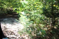 Enlarge photo 136