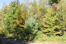 Enlarge photo 137