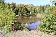 Enlarge photo 139