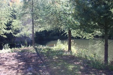 Enlarge photo 140