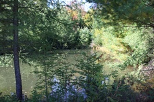 Enlarge photo 141
