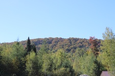 Enlarge photo 151