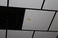 Enlarge photo 150