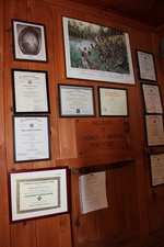 Enlarge photo 24