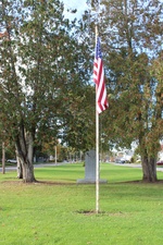 Enlarge photo 179