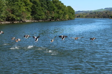 Enlarge photo 25