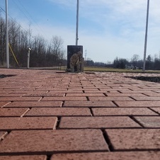 Enlarge photo 8
