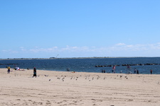 Enlarge photo 51