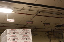 Enlarge photo 115