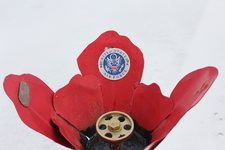 Enlarge photo 23
