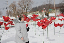 Enlarge photo 26