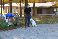 Enlarge photo 45