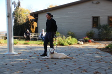 Enlarge photo 47