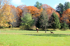 Enlarge photo 15