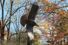Enlarge photo 11