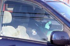 Enlarge photo 49
