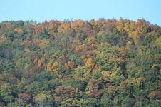 Enlarge photo 27