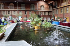 Enlarge photo 51