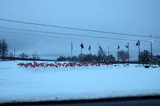 Enlarge photo 4