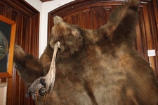Enlarge photo 134