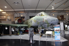 Enlarge photo 125