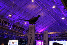 Enlarge photo 4