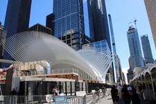 Enlarge photo 61