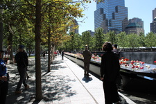 Enlarge photo 66