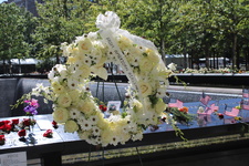 Enlarge photo 72