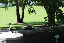 Enlarge photo 90