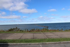 Enlarge photo 89