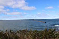 Enlarge photo 91