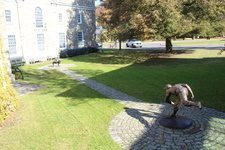 Enlarge photo 31
