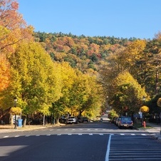Enlarge photo 36
