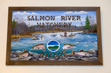 Oswego County