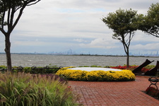 Enlarge photo 44