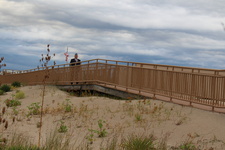Enlarge photo 65