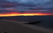 Enlarge photo 71
