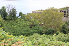 Enlarge photo 23