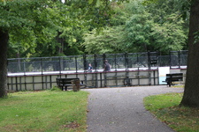 Enlarge photo 45