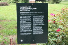 Enlarge photo 48
