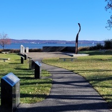 Enlarge photo 49