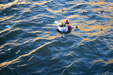 Enlarge photo 81