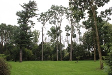 Enlarge photo 18